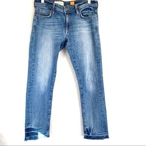 Pilcro & the Letterpress Anthropologie skinny jean